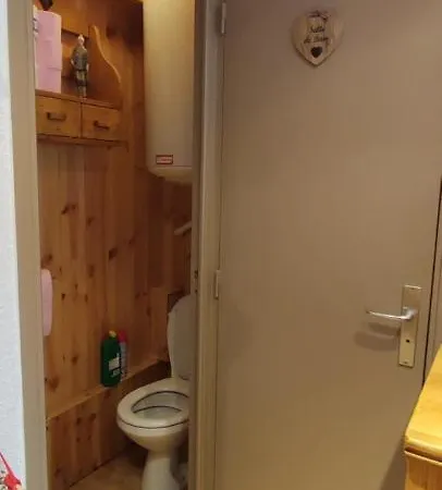 Apartman La Foux D'allos 4 Pers Vue Station Et Pistes Allos